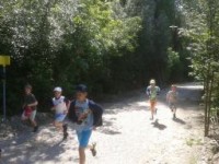 Summer sports